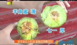 全网福利吃瓜收藏,揭秘热门事件幕后真相！