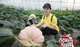 齐齐哈尔吃瓜网友,吃瓜事件背后的网络狂欢