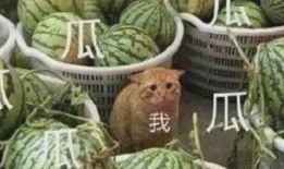 吃瓜群众有啥不敢吃的,揭秘吃瓜群众的“食界”极限