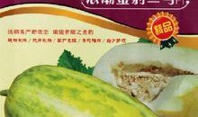 浪潮公司吃瓜,一场吃瓜群众的围观盛宴