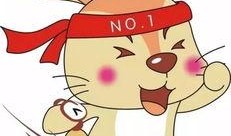 懒散吃瓜,轻松享受生活乐趣