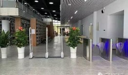 阶梯教室吃瓜,一场别开生面的吃瓜盛宴