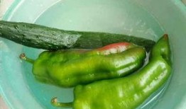 辣个老板吃瓜,揭秘职场八卦背后的真相