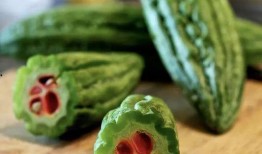 前排吃瓜鹅勋章,揭秘网络红人的荣耀之路