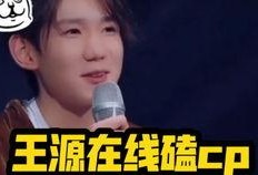 吃瓜游戏磕cp,一场吃瓜游戏中的甜蜜CP之旅