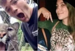 网聊吃瓜,揭秘网络社交背后的趣味与争议