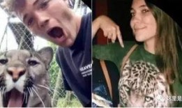 网聊吃瓜,揭秘网络社交背后的趣味与争议