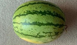 在地球吃瓜,探寻全球特色瓜果之旅