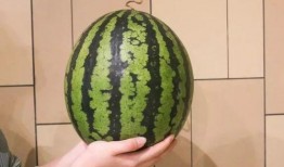 广州吃瓜私影,揭秘城市中的隐秘观影新潮流