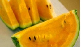 吃瓤的瓜和吃皮的瓜,品味瓤与皮的独特风味