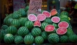 星茉吃瓜,揭秘娱乐圈幕后真相