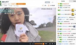 吃瓜主播图图,揭秘娱乐圈幕后风云