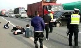 车祸现场吃瓜狗狗视频,这瓜太香了！