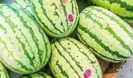 大白瓜做什么吃,探索创意烹饪新境界