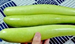 九月吃瓜,盘点当月热门“吃瓜”事件