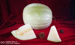 三白瓜冬季怎么吃,冬季三白瓜的多样食法探索