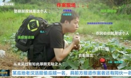 犯人吃警察的瓜,犯人吃警察瓜的惊人真相揭秘