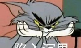 电竞转会吃瓜,揭秘幕后“吃瓜”大戏