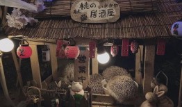 刺猬猫吃瓜,揭秘娱乐圈背后的秘密与真相