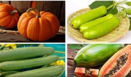 立秋吃瓜朋友圈,瓜果飘香，朋友圈里的甜蜜时光