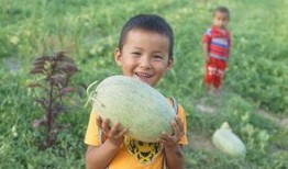 儿童摄影吃瓜群众,儿童摄影中的吃瓜群众瞬间