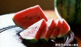 吃瓜了老黑,揭秘娱乐圈背后的秘密与真相