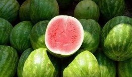 羊角蜜是吃瓜还是吃瓤,是吃瓜还是吃瓤的甜蜜抉择