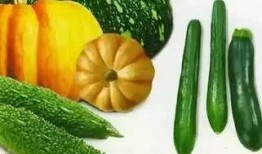 玉楼春吃瓜,瓜香四溢，品味夏日清凉时光