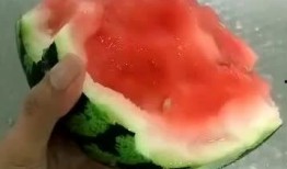 吃完西瓜吃蜜瓜,西瓜蜜瓜双享之旅