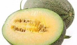 吃瓜可以变甜,揭秘瓜果甜蜜的秘密