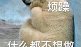 吃瓜别人我图,我图生成背后的秘密