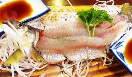 带你吃瓜鱼类,吃瓜鱼类的独特魅力与生活习性