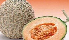 吃哈密瓜脸肿,揭秘吃瓜脸肿的惊人真相