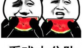 吃瓜表情包调侃,吃瓜表情包背后的趣味与智慧
