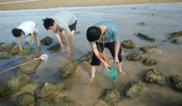 海边吃瓜,瓜香四溢的悠闲时光