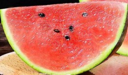 新瓜王吃瓜视频下载,揭秘热门瓜子的幕后故事