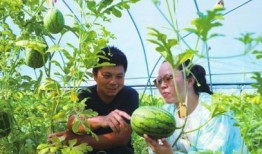 厦门新农人吃瓜事件,一场误会引发的社区热议