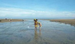 海边吃瓜,瓜香四溢的悠闲时光