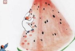 云厅吃瓜,揭秘娱乐圈幕后故事