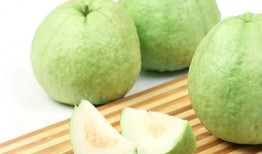 福建芭乐瓜怎么吃,福建芭乐瓜的多样食法探索