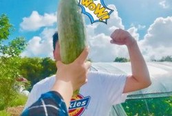 合作吃瓜,共享快乐时光