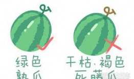 吃瓜卖瓜种瓜的故事原文