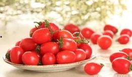 吃果瓜可以吃圣女果吗,吃果瓜时，圣女果也能共享美味