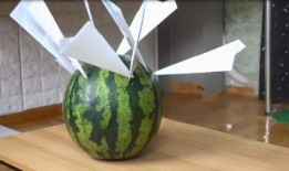纸飞机吃瓜,瓜香四溢的夏日时光
