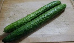 酒瓜怎么吃,解锁美味新体验