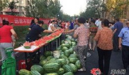 苏河湾业主吃瓜,揭秘社区生活趣闻轶事