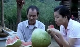 在农村吃瓜50字,吃瓜乐趣无限