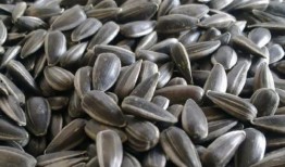 瓜子吃瓜哈,欢乐无限，一起哈皮！