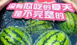 大东家鸿图吃瓜,揭秘吃瓜背后的豪门风云