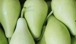 长期吃瓜的后果,揭秘身体健康的五大隐患